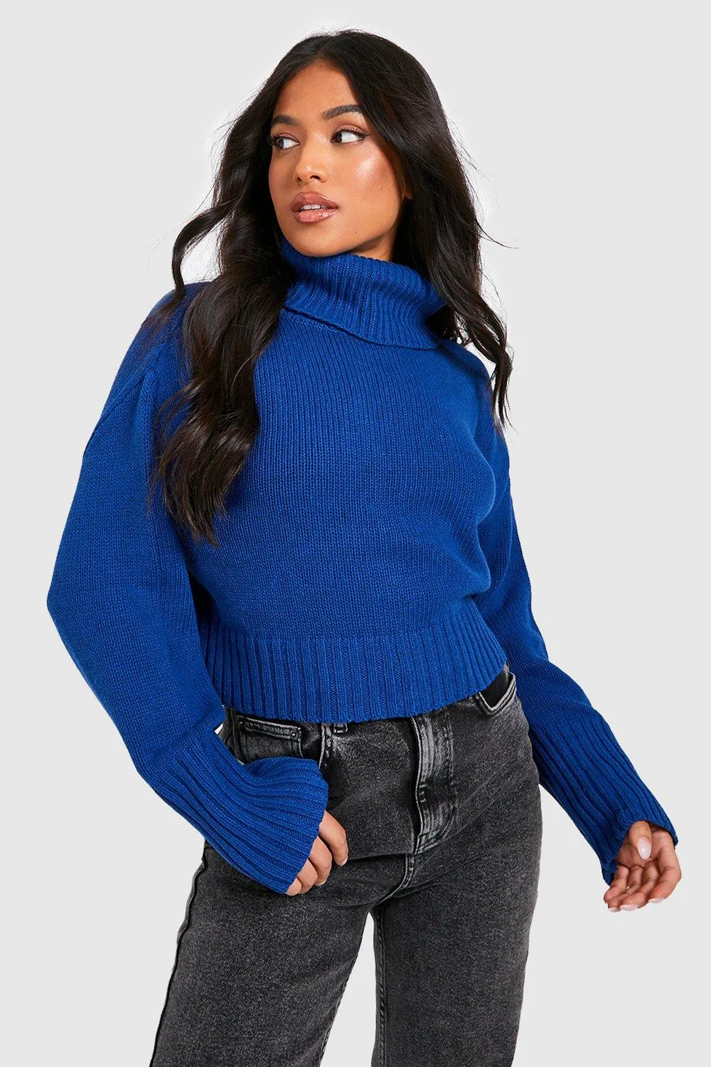 Petite Knitted Turtleneck Cropped Sweater