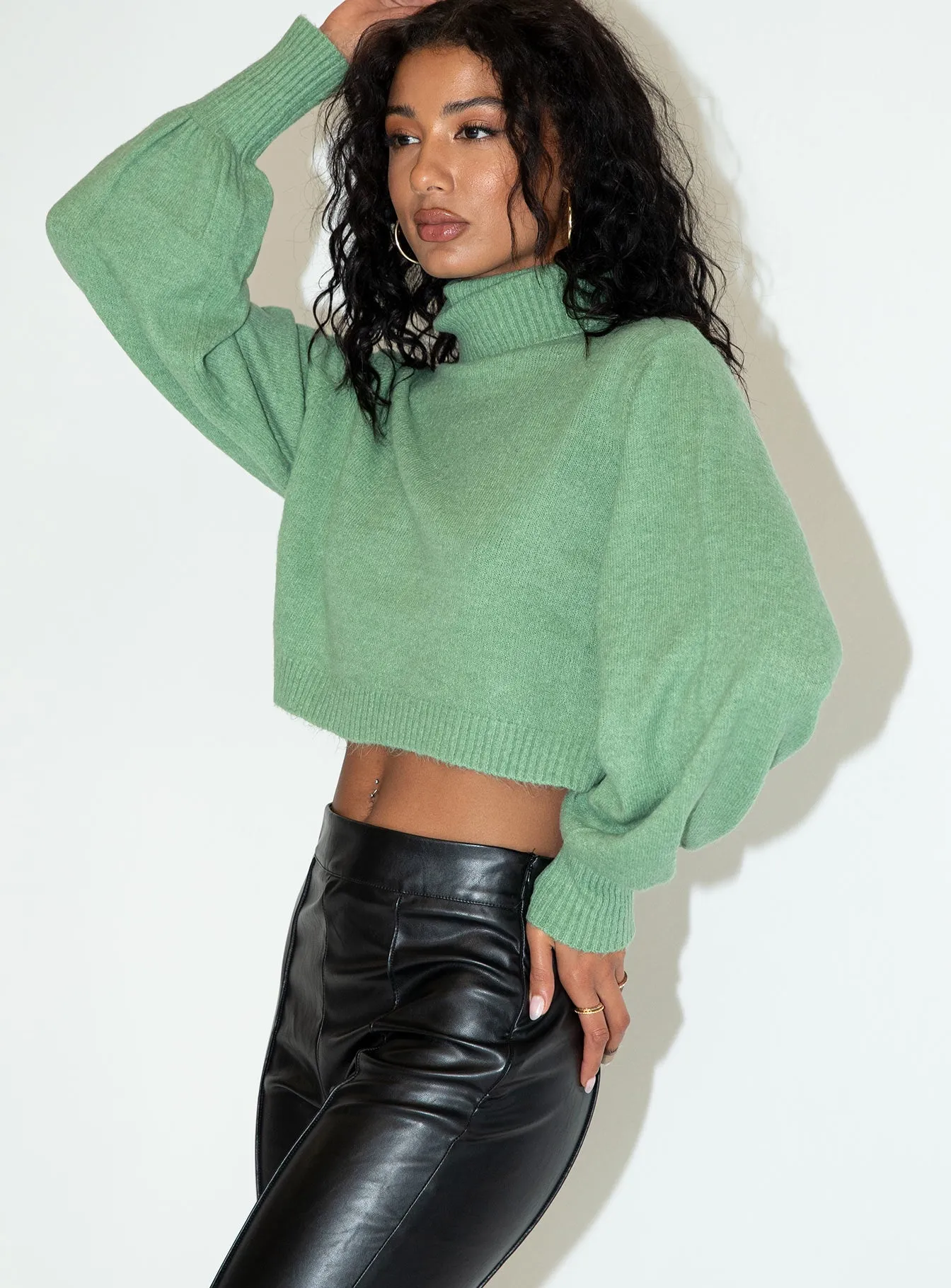 Zahara Cropped Turtleneck Sweater Green Petite